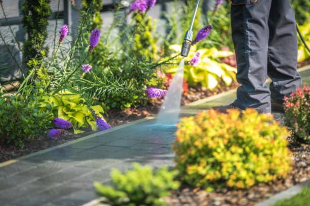 Best Sidewalk and Walkway Cleaning  in Jacksonwald, PA